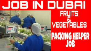 Fruit Packing Jobs in Dubai