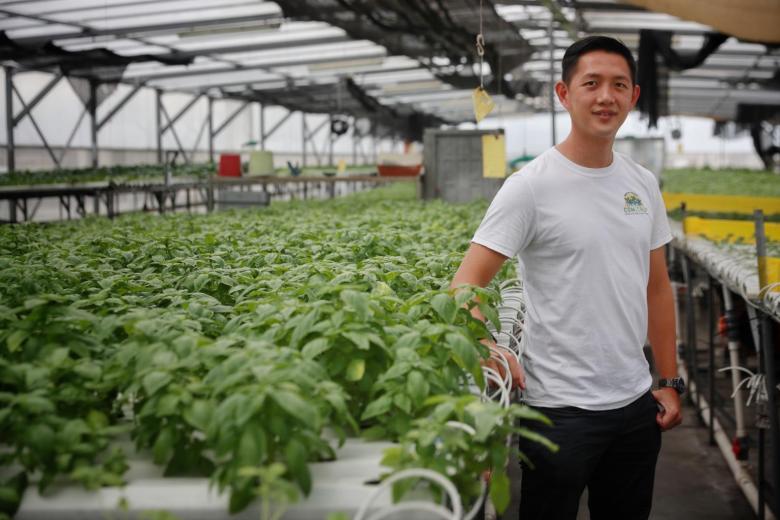 Agriculture Jobs In Singapore for foreigners