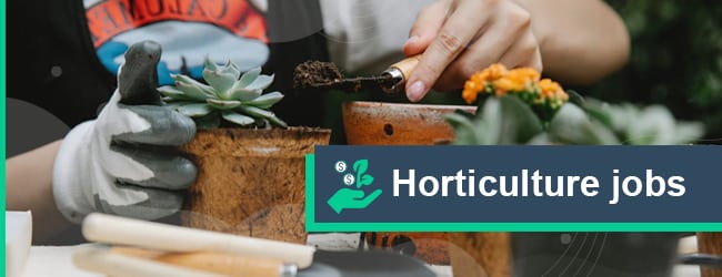 Horticulture Jobs In Singapore