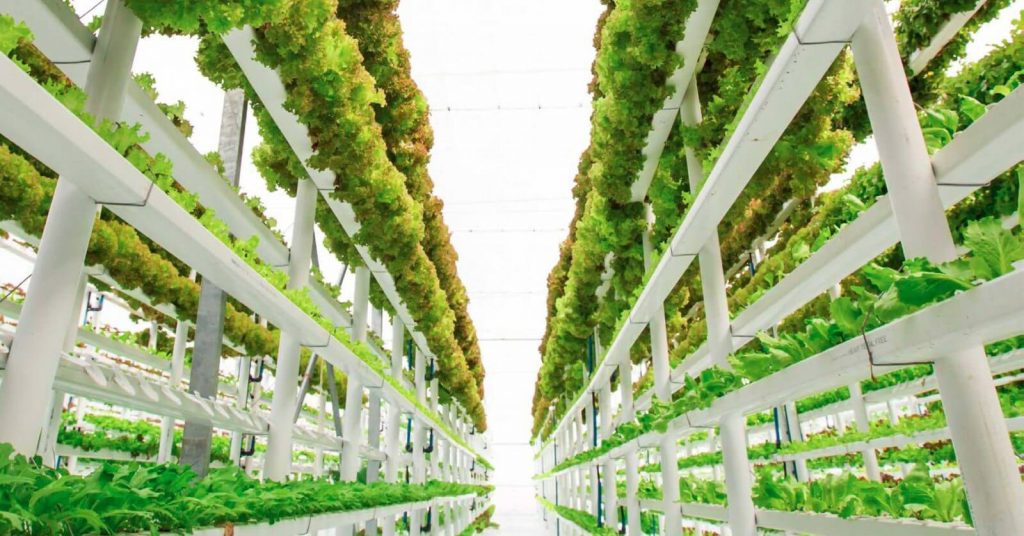 Vertical Farming Jobs in Singapore