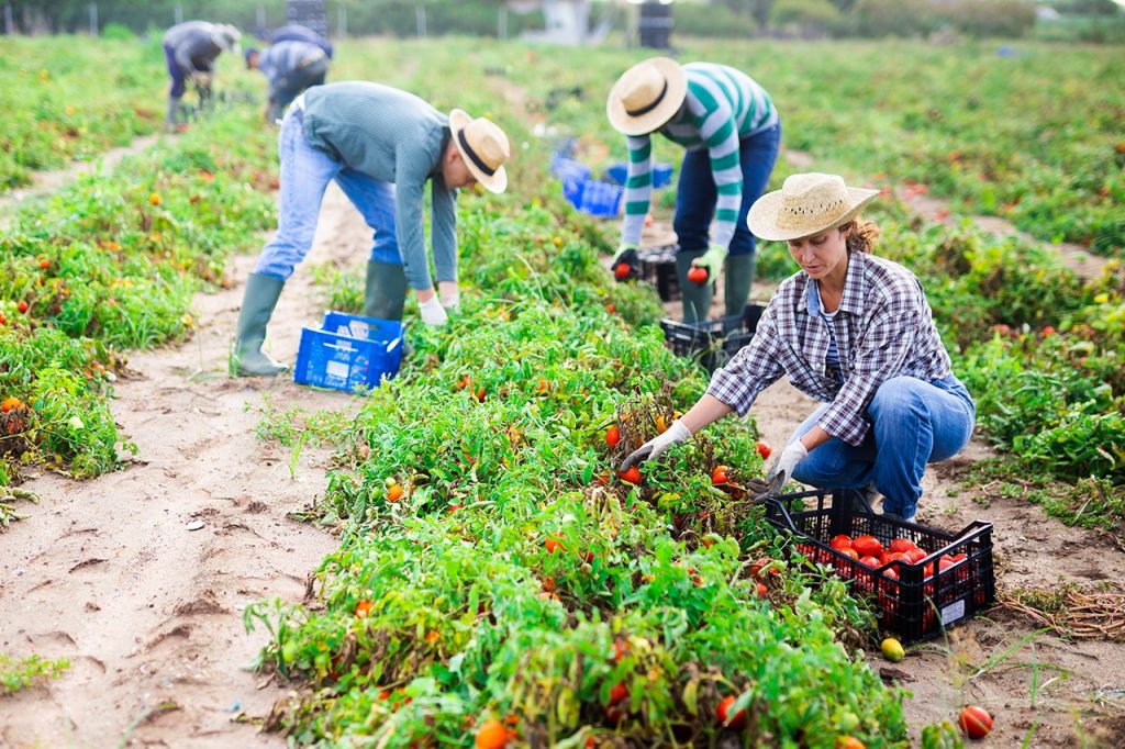 farm jobs in germany