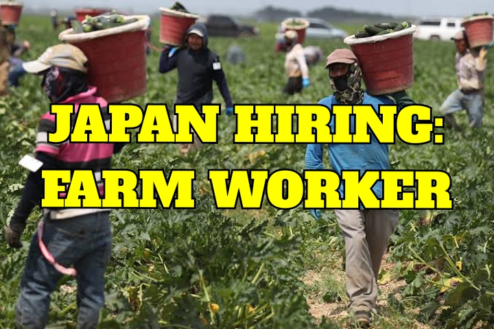 farming jobs in japan for foreigners