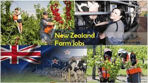 Farm Jobs In New Zealand For Foreigners