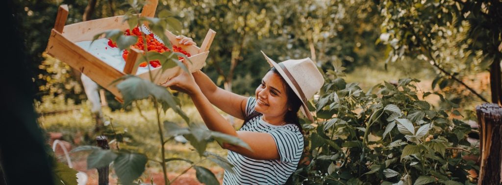 Fruit picking jobs Norway