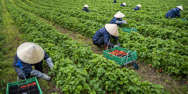 farm jobs in norway for foreigners