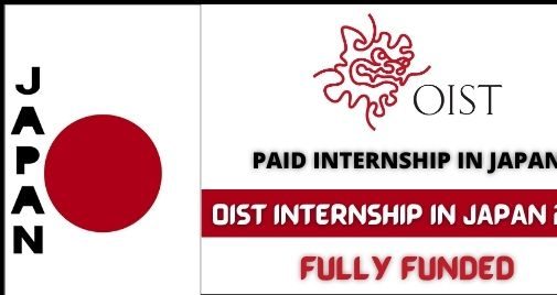 paid internship in japan for international students e1656691010135