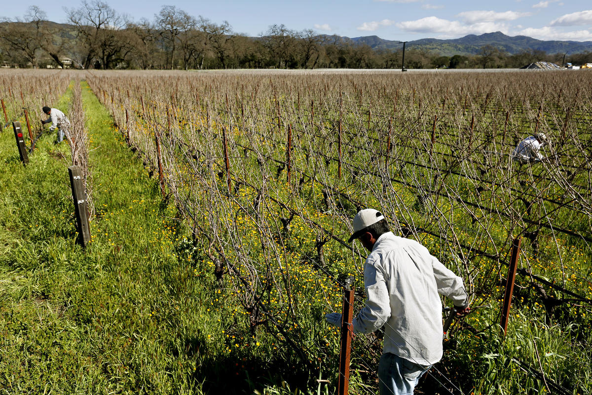 Agricultural Jobs California
