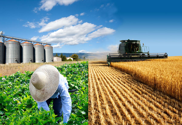 Agriculture Jobs Kansas