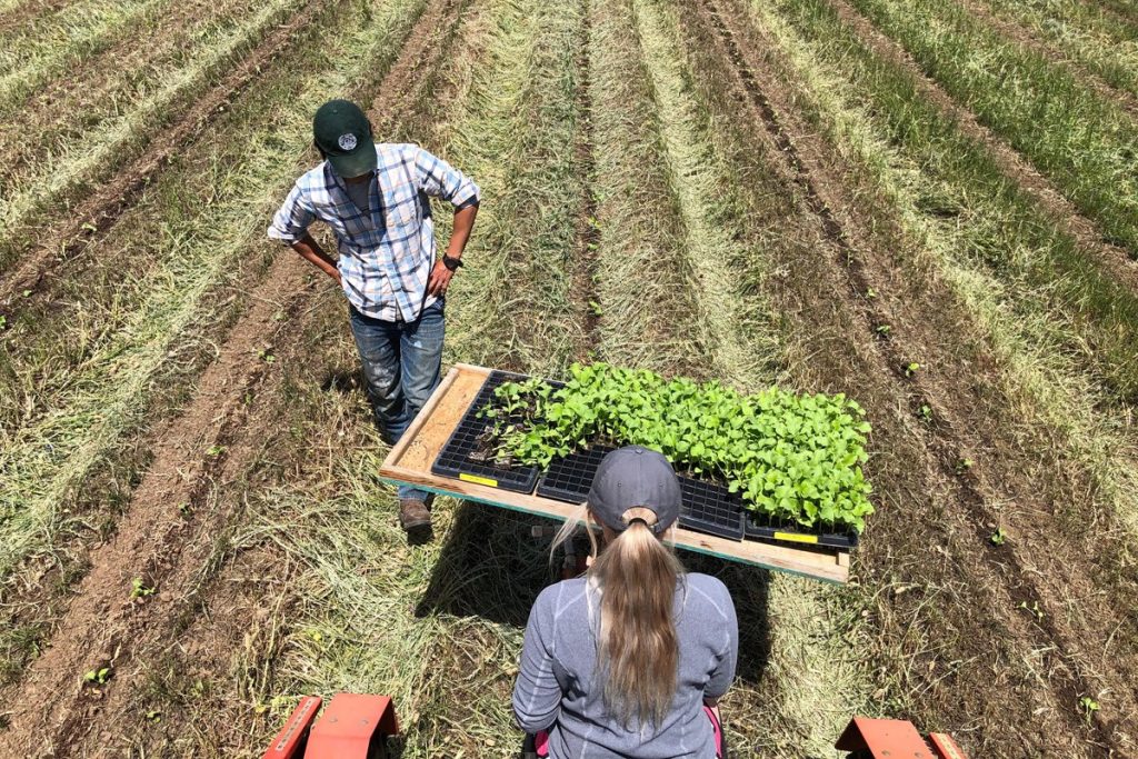 Farm Jobs In California