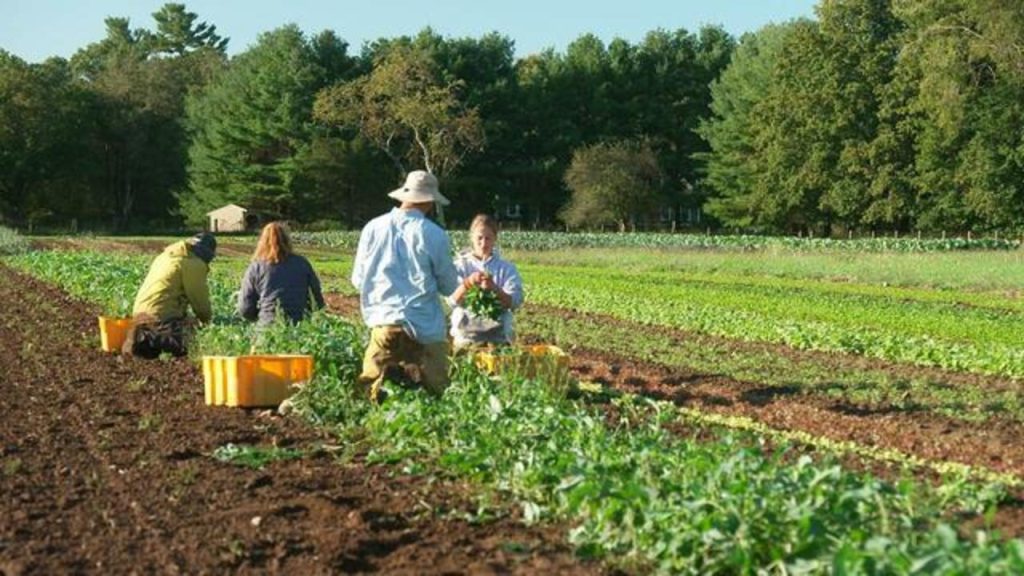 Farm Jobs In Illinois