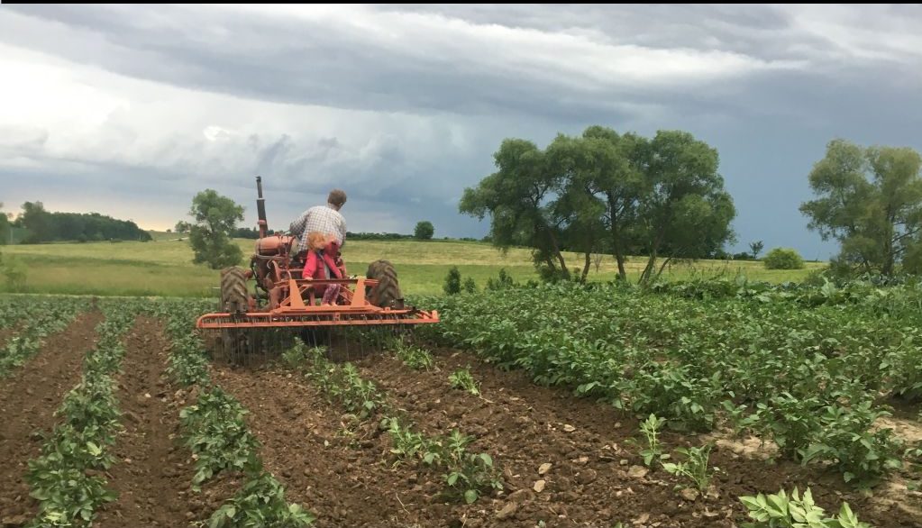Farm Jobs In Minnesota