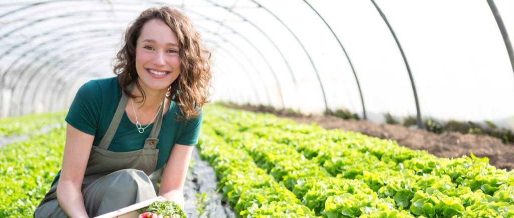 Farm Jobs Maryland