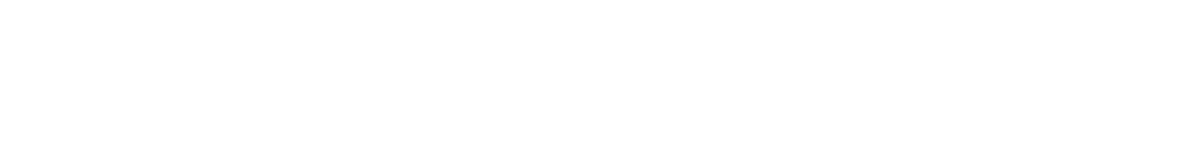 Global Solutions Consulting Co. Ltd.