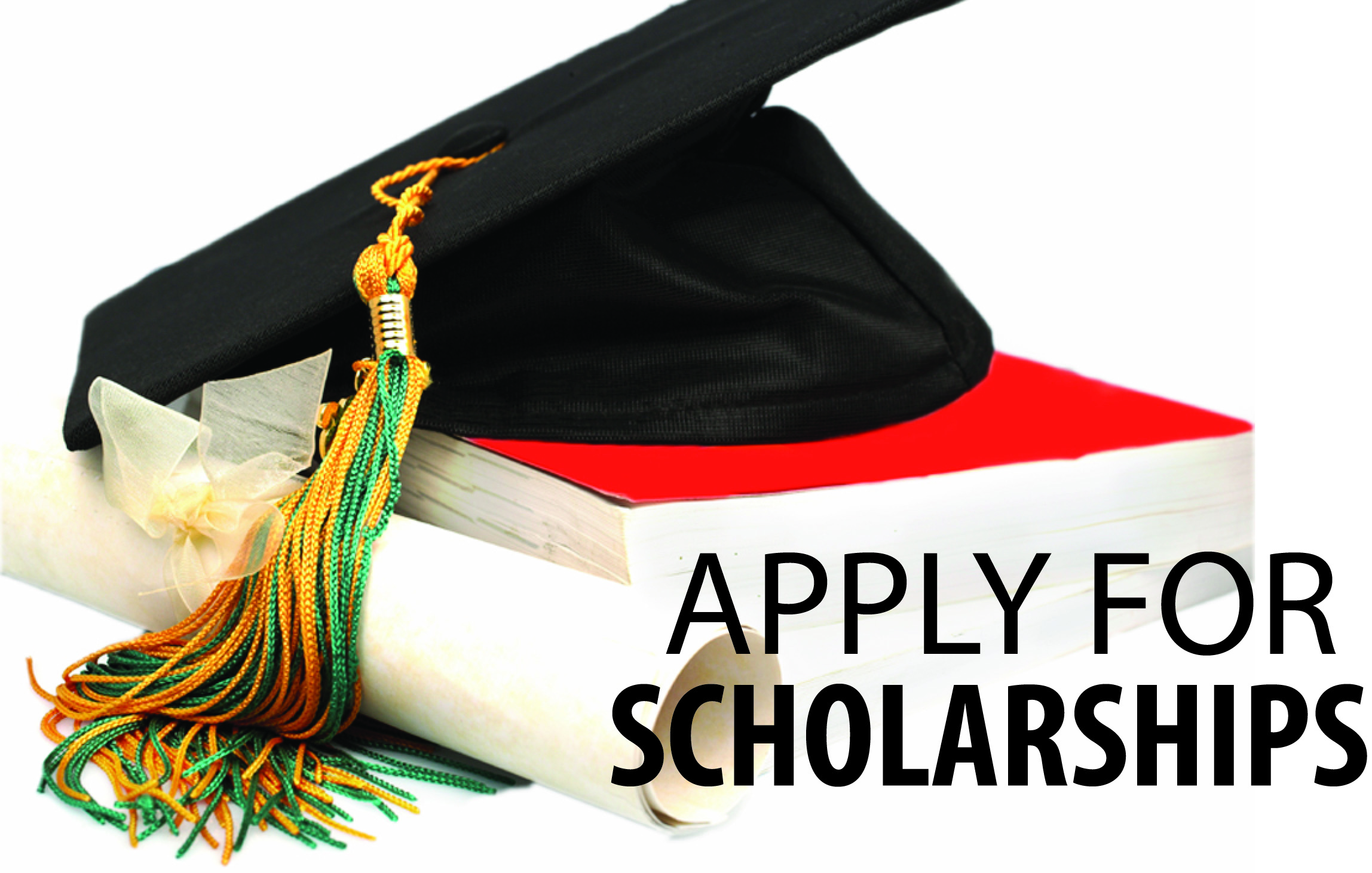 Scholarship In Turkey