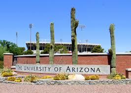 University of Arizona Scholarships For International Graduate Students