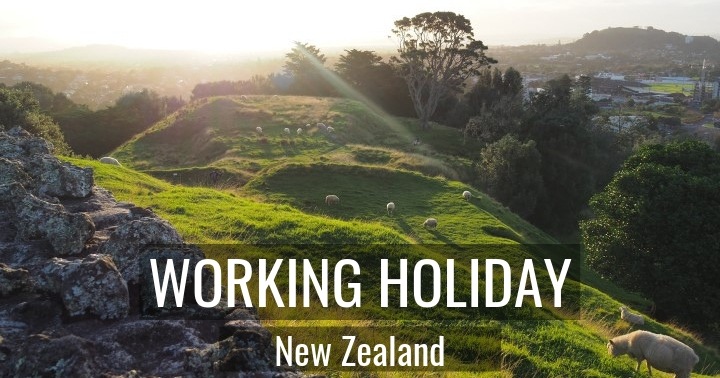 New Zealand Working Holiday Jobs