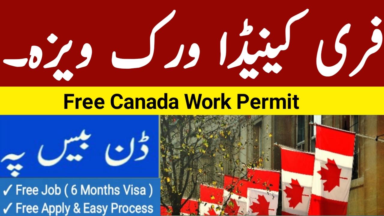 Jobs In Canada For Pakistani