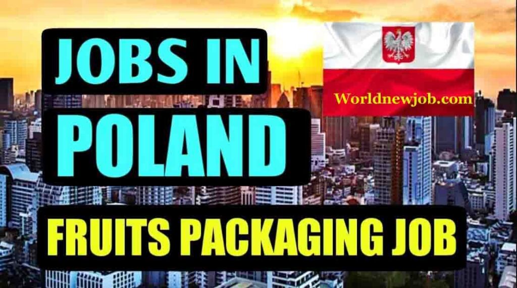 Packing Jobs In Poland For Foreigners