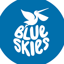 Blue Skies company